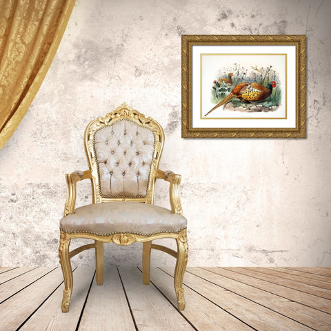 Shaws Pheasant Gold Ornate Wood Framed Art Print with Double Matting by Elliot, David