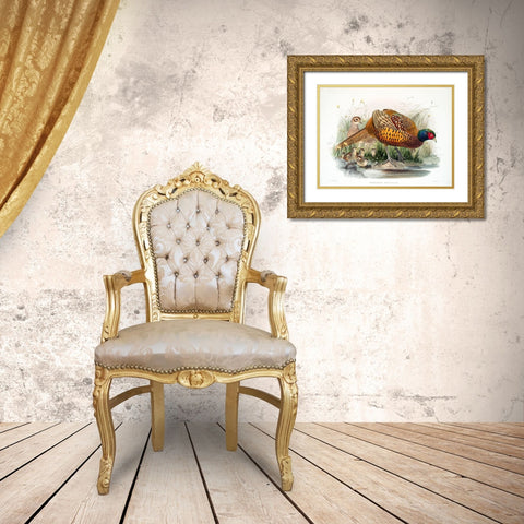Colchicus Pheasant Gold Ornate Wood Framed Art Print with Double Matting by Elliot, David