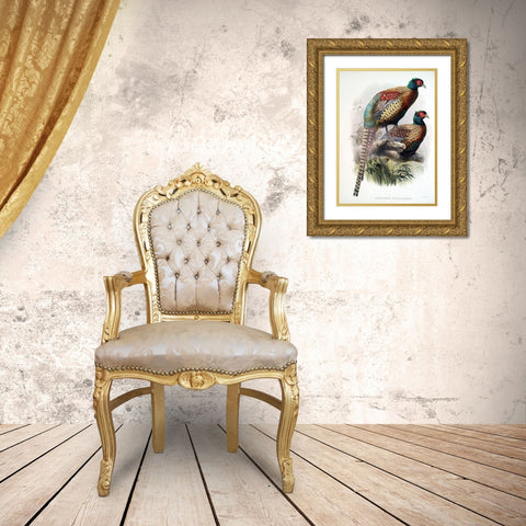 Pheasant Deccollatus Gold Ornate Wood Framed Art Print with Double Matting by Elliot, David