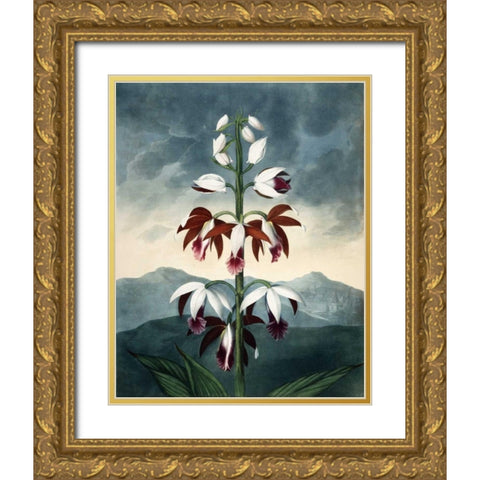 China Limaderen Gold Ornate Wood Framed Art Print with Double Matting by Michaux, Francois A.