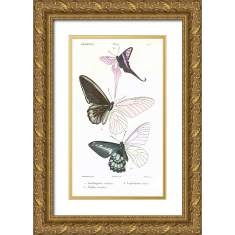 Butterflies, Plate 17 Gold Ornate Wood Framed Art Print with Double Matting by Blanchard, Emile