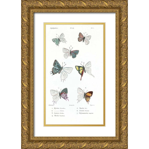 Buterflies, Plate 22 Gold Ornate Wood Framed Art Print with Double Matting by Blanchard, Emile