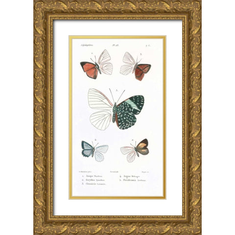 Butterflies, Plate 23 Gold Ornate Wood Framed Art Print with Double Matting by Blanchard, Emile
