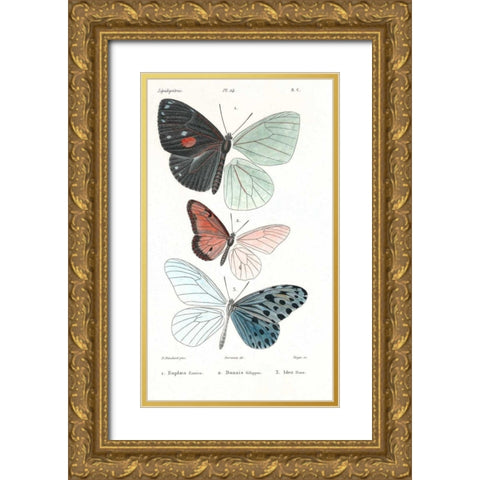Butterflies, Plate 24 Gold Ornate Wood Framed Art Print with Double Matting by Blanchard, Emile