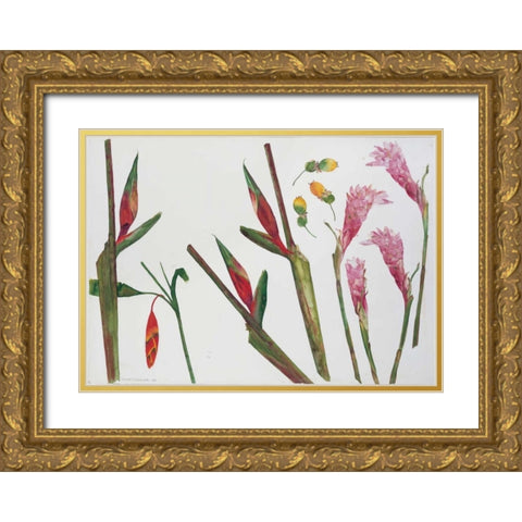 Heliconia, Passion Fruit and Ginger Gold Ornate Wood Framed Art Print with Double Matting by Blackadder, Elizabeth