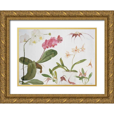 Orchid Studies Gold Ornate Wood Framed Art Print with Double Matting by Blackadder, Elizabeth