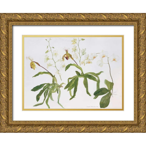 Orchids, Paphiopedilum and Dendrobium Gold Ornate Wood Framed Art Print with Double Matting by Blackadder, Elizabeth