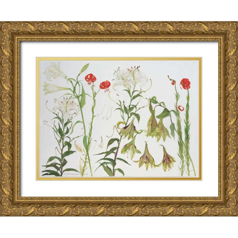Lilies, Auratum, Nepalense, and Chalcedonicum Gold Ornate Wood Framed Art Print with Double Matting by Blackadder, Elizabeth