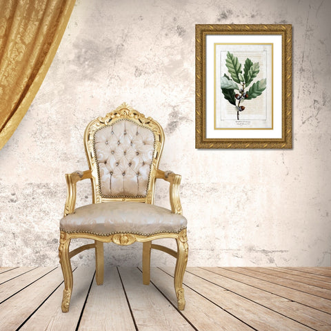 Small Chestnut Oak Gold Ornate Wood Framed Art Print with Double Matting by Michaux, Francois A.