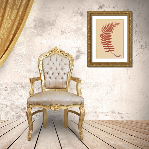 Soft Prickly Shield Fern Gold Ornate Wood Framed Art Print with Double Matting by Heath, Francis George