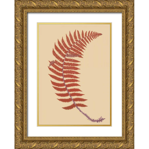 Soft Prickly Shield Fern Gold Ornate Wood Framed Art Print with Double Matting by Heath, Francis George