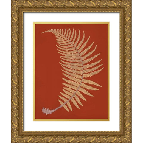 Male Fern Gold Ornate Wood Framed Art Print with Double Matting by Heath, Francis George
