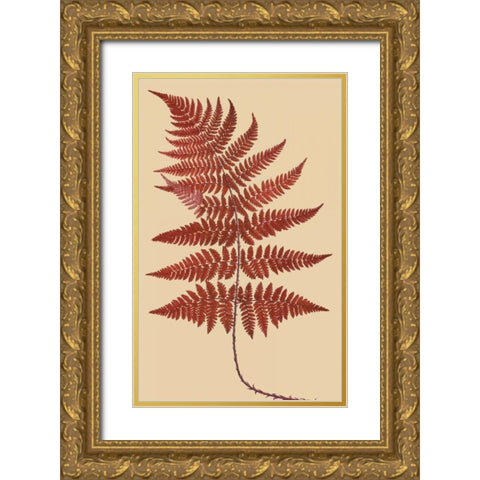 Broad Buckler Fern Gold Ornate Wood Framed Art Print with Double Matting by Heath, Francis George