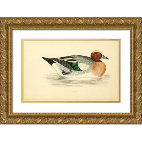 Wigeon Gold Ornate Wood Framed Art Print with Double Matting by Morris, Rev FO