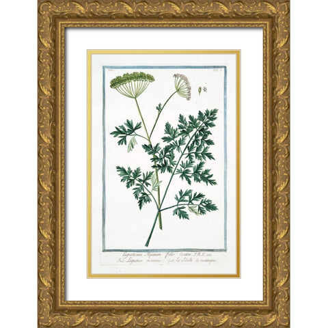 Cow Parsley 1 Gold Ornate Wood Framed Art Print with Double Matting by Bonelli, Giorgio