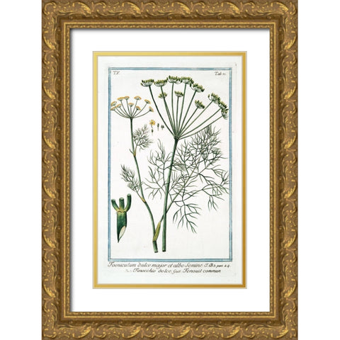 Cow Parsley 2 Gold Ornate Wood Framed Art Print with Double Matting by Bonelli, Giorgio
