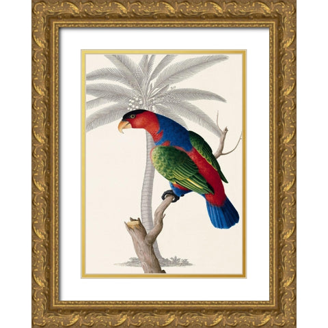 Palm/Lory Parrot Gold Ornate Wood Framed Art Print with Double Matting by Ehret-De Bevere