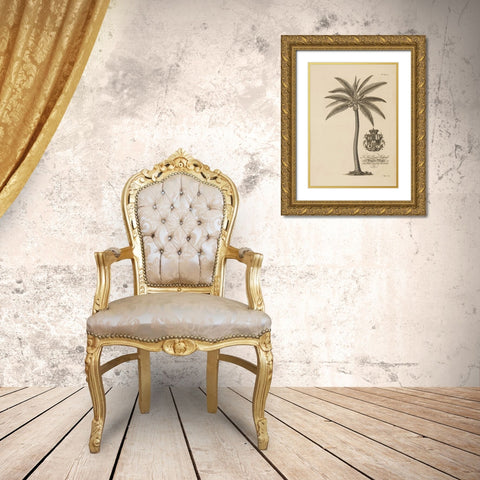 Coconut Palm Gold Ornate Wood Framed Art Print with Double Matting by Ehret, Georg