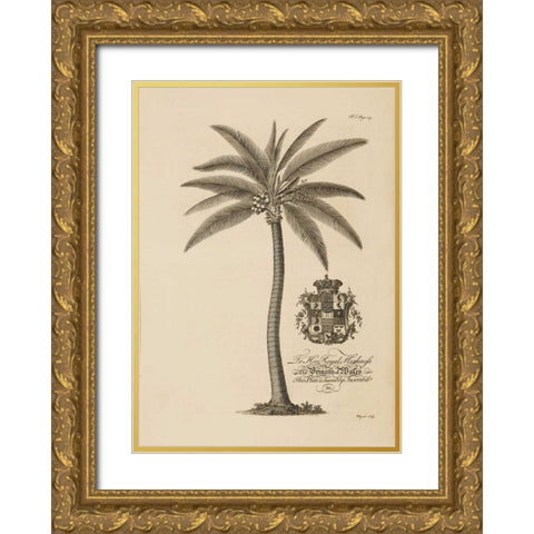 Coconut Palm Gold Ornate Wood Framed Art Print with Double Matting by Ehret, Georg