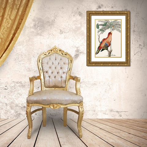 Palm/Lory Parrot Gold Ornate Wood Framed Art Print with Double Matting by Ehret-De Bevere