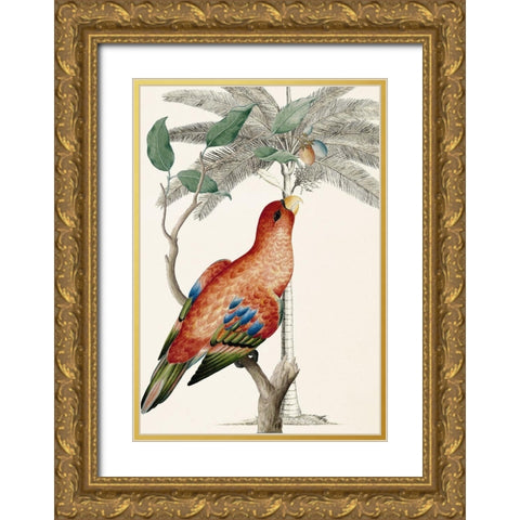 Palm/Lory Parrot Gold Ornate Wood Framed Art Print with Double Matting by Ehret-De Bevere