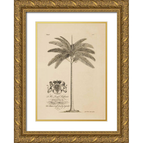 King Palm Gold Ornate Wood Framed Art Print with Double Matting by Ehret, Georg