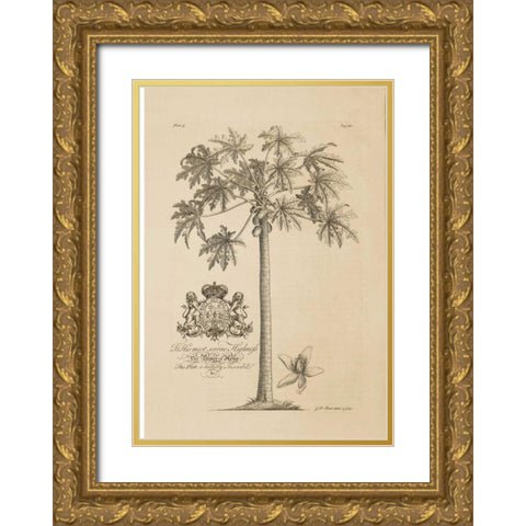 Papaya Tree Gold Ornate Wood Framed Art Print with Double Matting by Ehret, Georg