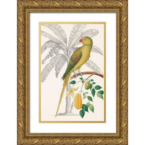 Palm/Parakeet Gold Ornate Wood Framed Art Print with Double Matting by Ehret-De Bevere