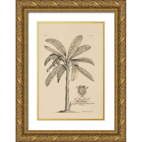 Banana Tree Gold Ornate Wood Framed Art Print with Double Matting by Ehret, Georg
