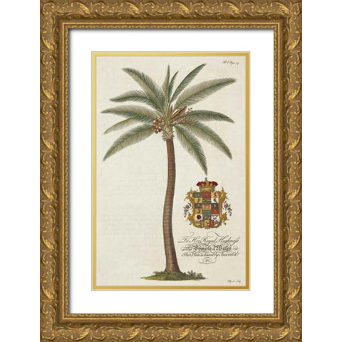 Coconut Palm Gold Ornate Wood Framed Art Print with Double Matting by Ehret, Georg