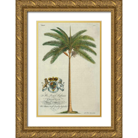 King Palm Gold Ornate Wood Framed Art Print with Double Matting by Ehret, Georg