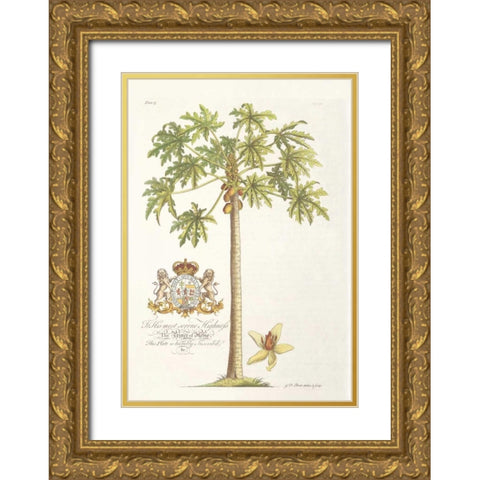 Papaya Tree Gold Ornate Wood Framed Art Print with Double Matting by Ehret, Georg