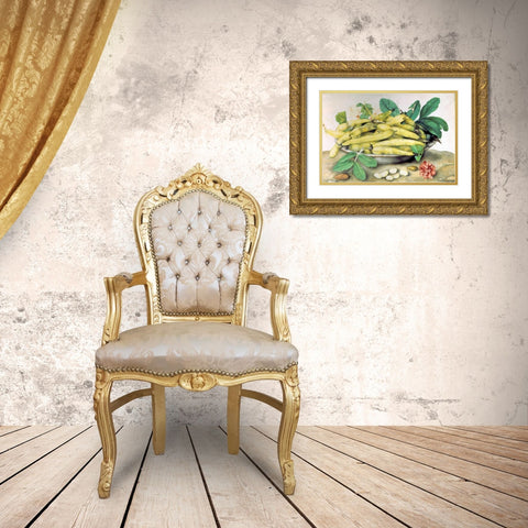 Dish of Broad Beans Gold Ornate Wood Framed Art Print with Double Matting by Garzoni, Giovanna