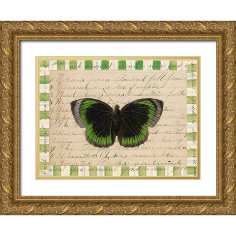 Butterfly Collage, Hiawatha Gold Ornate Wood Framed Art Print with Double Matting by Gould-Porter, William