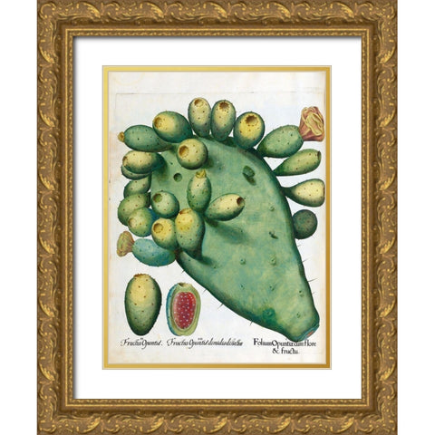 Cactus Gold Ornate Wood Framed Art Print with Double Matting by Besler, Basilius