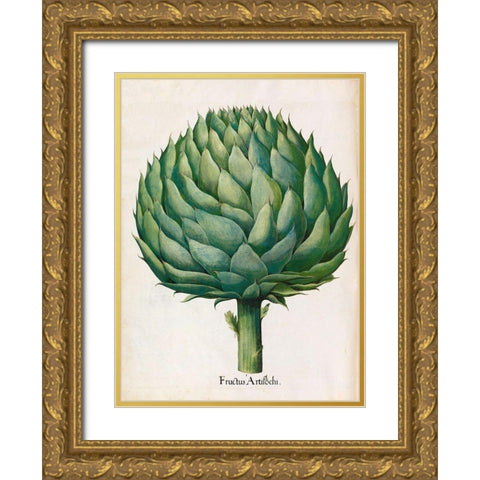 Artichoke Gold Ornate Wood Framed Art Print with Double Matting by Besler, Basilius