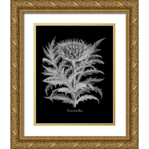 Cinera Gold Ornate Wood Framed Art Print with Double Matting by Besler, Basilius