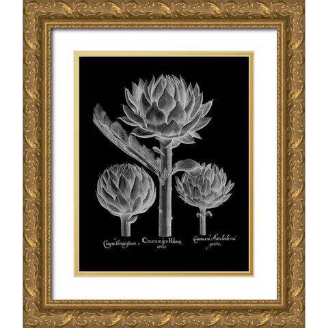 Cinera Boloni Gold Ornate Wood Framed Art Print with Double Matting by Besler, Basilius