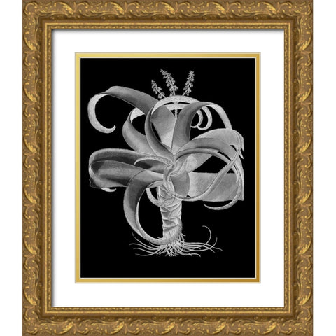 Aloe Gold Ornate Wood Framed Art Print with Double Matting by Besler, Basilius