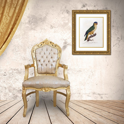 Le Perroquet a calotte bleu Gold Ornate Wood Framed Art Print with Double Matting by Barraband, Jacques