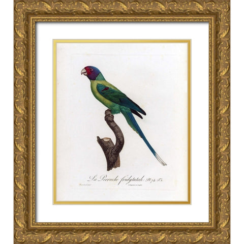 La Perruche, Fridytutah Gold Ornate Wood Framed Art Print with Double Matting by Barraband, Jacques