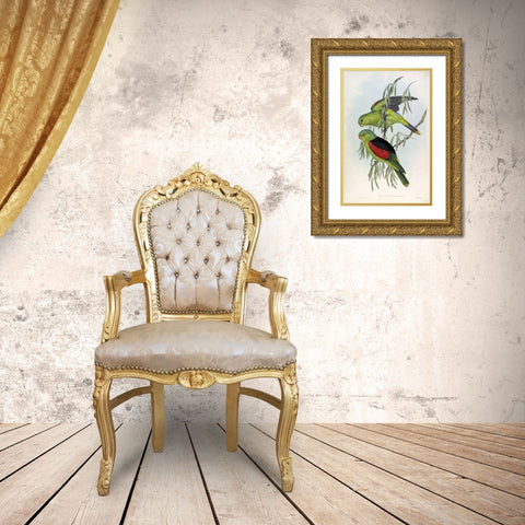 Red Winged Lory Gold Ornate Wood Framed Art Print with Double Matting by Gould, John