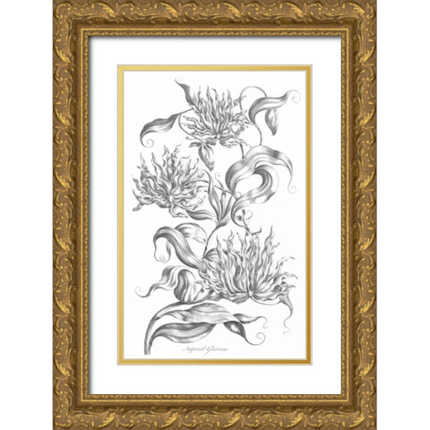 Imperial Gloriosa Gold Ornate Wood Framed Art Print with Double Matting by Hill, John