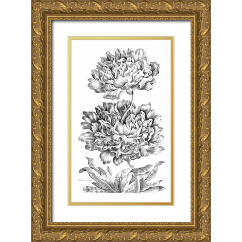 Heroic Peony Gold Ornate Wood Framed Art Print with Double Matting by Hill, John