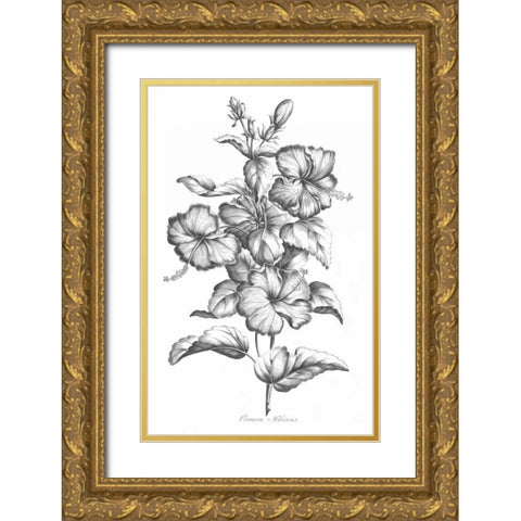 Crimson Hibiscus Gold Ornate Wood Framed Art Print with Double Matting by Hill, John