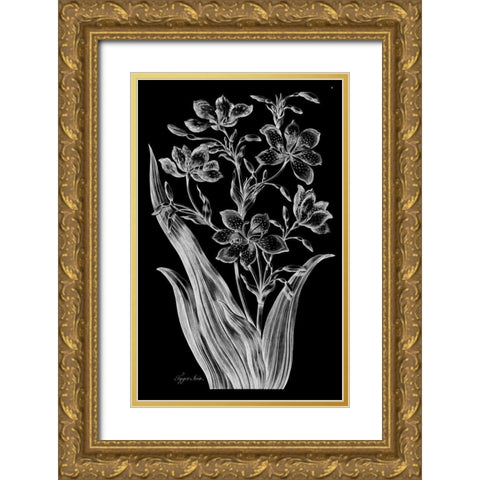 Tiger Ixia Gold Ornate Wood Framed Art Print with Double Matting by Hill, John