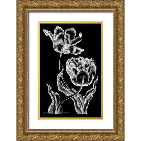 Double Oriflamme Gold Ornate Wood Framed Art Print with Double Matting by Hill, John