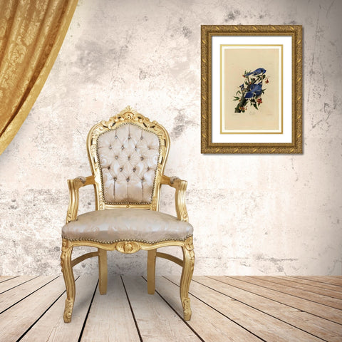 Blue Jay Gold Ornate Wood Framed Art Print with Double Matting by Audubon, John James