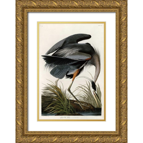 Great Blue Heron Gold Ornate Wood Framed Art Print with Double Matting by Audubon, John James