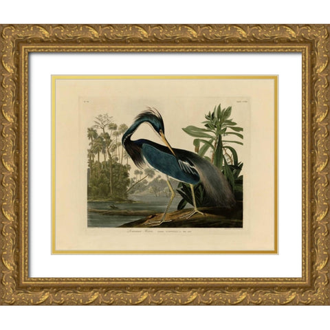 Louisiana Heron Gold Ornate Wood Framed Art Print with Double Matting by Audubon, John James